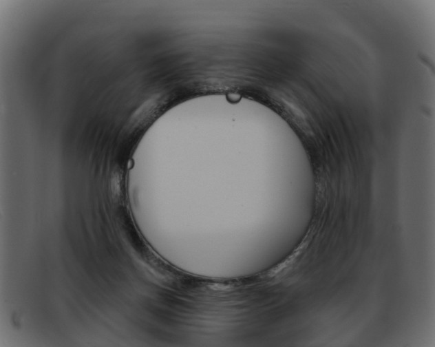 X0000093360166200710111315