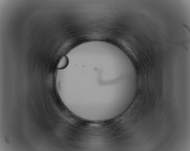 X0000093360167200710111315