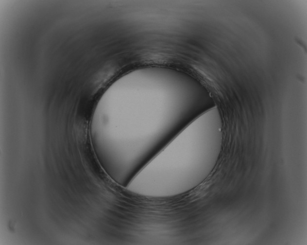 X0000093360168200710111315
