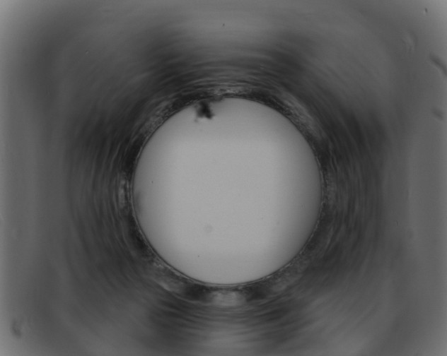 X0000093360169200710111315