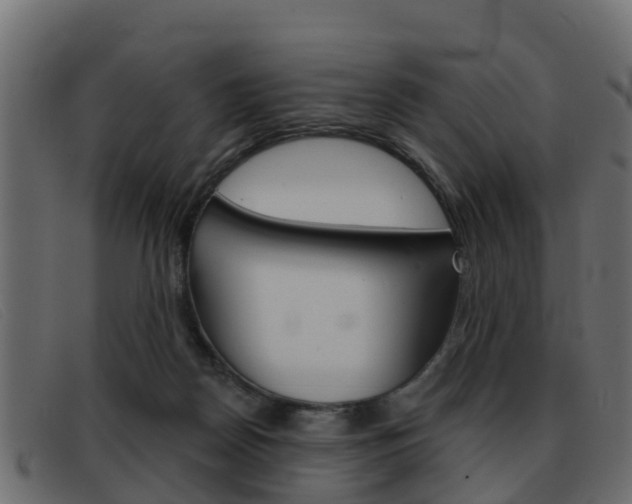 X0000093360170200710111315