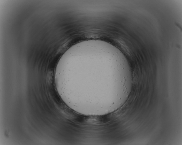 X0000093360171200710111315