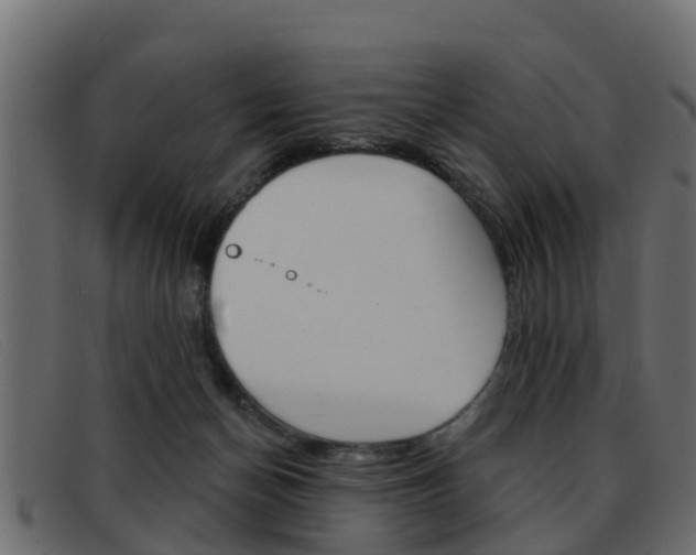 X0000093360174200710111315