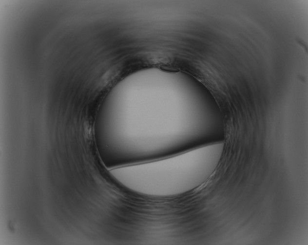 X0000093360176200710111315