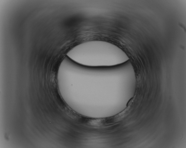 X0000093360178200710111315