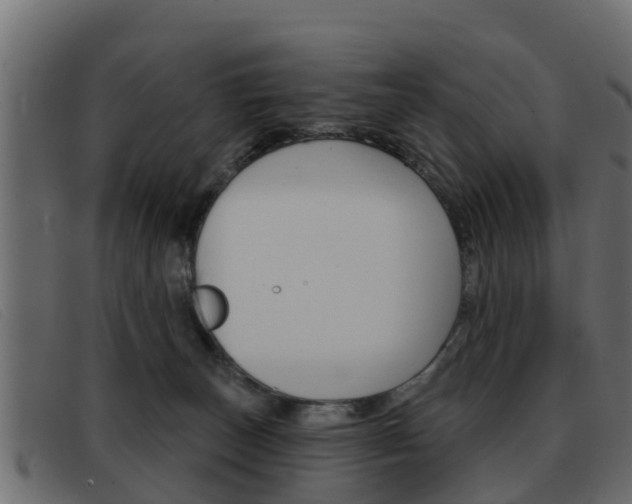 X0000093360179200710111315
