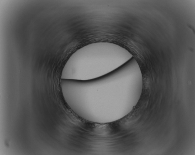 X0000093360185200710111315