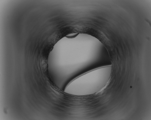 X0000093360186200710111315