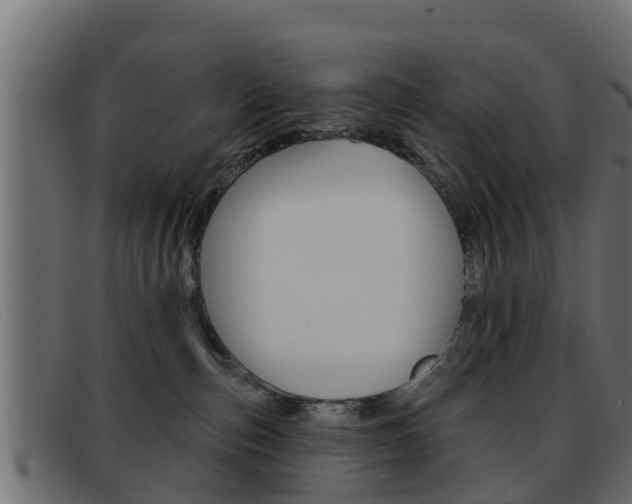 X0000093360187200710111315