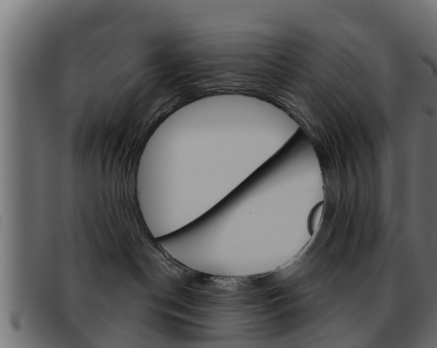 X0000093360190200710111315