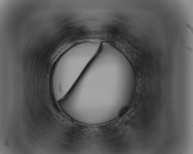 X0000093360194200710111315