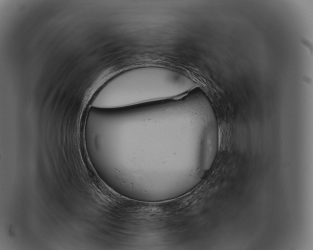 X0000093360195200710111314