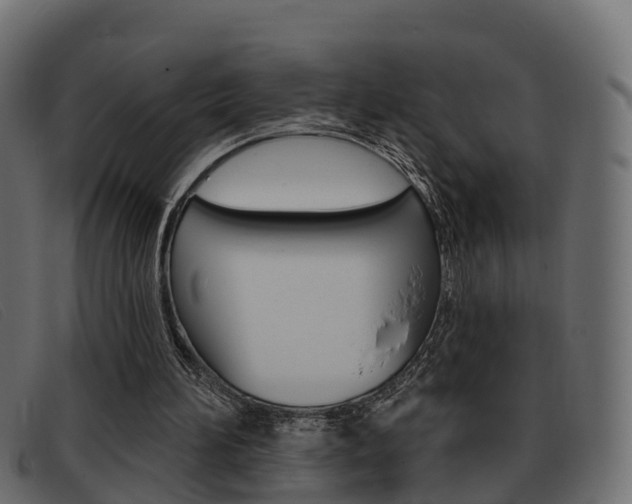 X0000093360196200710111314