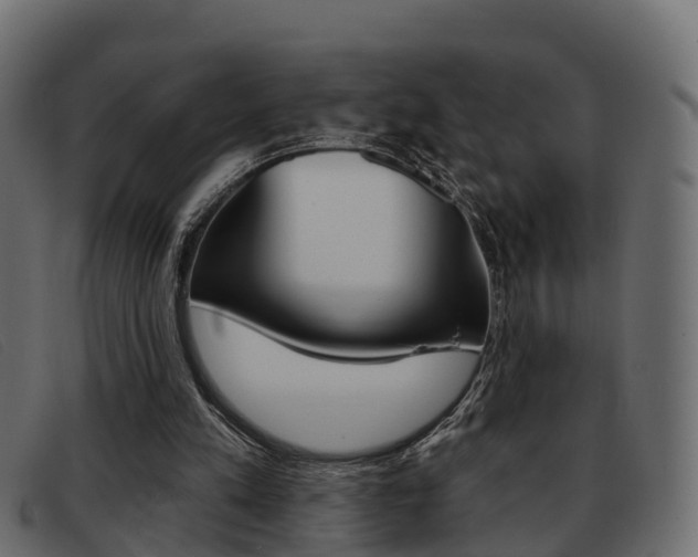 X0000093360197200710111314