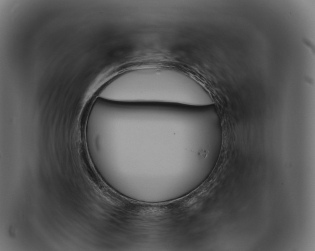 X0000093360198200710111314