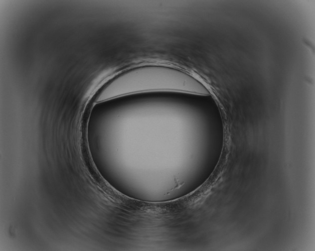 X0000093360199200710111314
