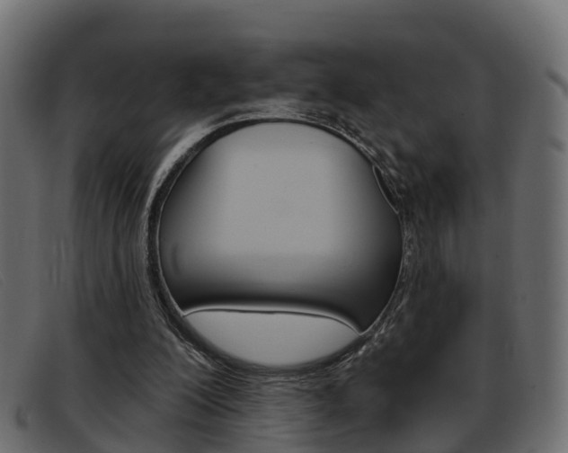 X0000093360200200710111314