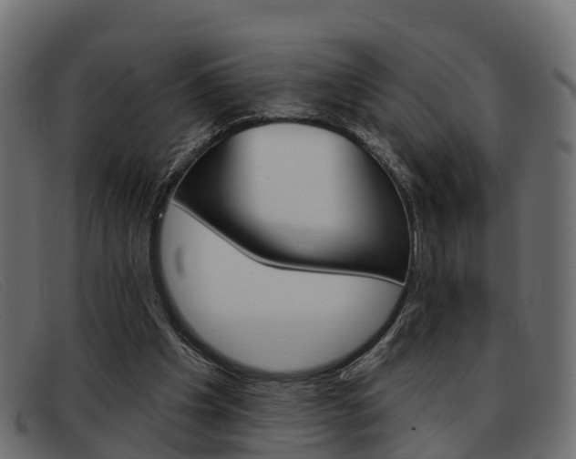 X0000093360201200710111314