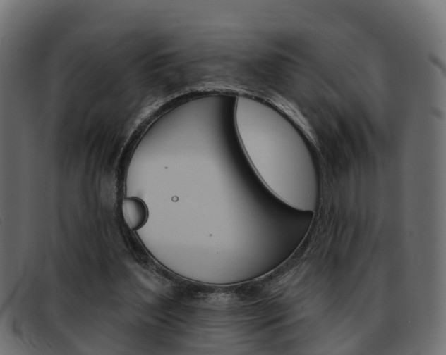 X0000093360204200710111314