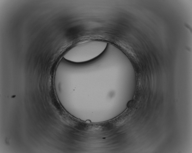 X0000093360206200710111314