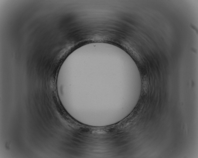 X0000093360208200710111314