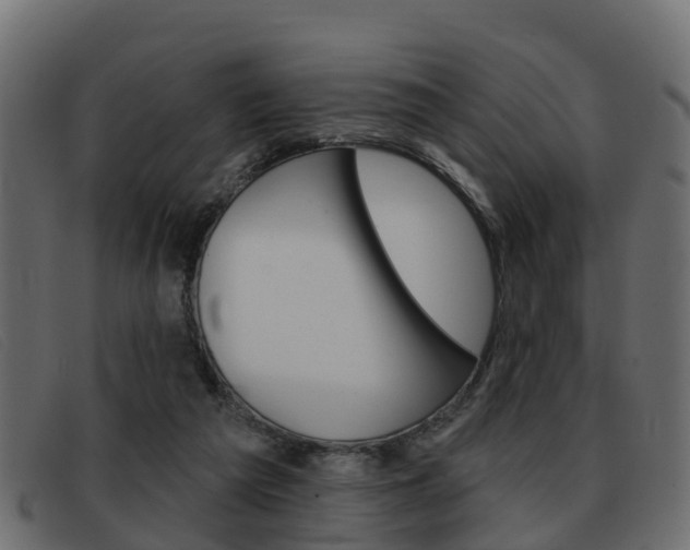X0000093360209200710111314