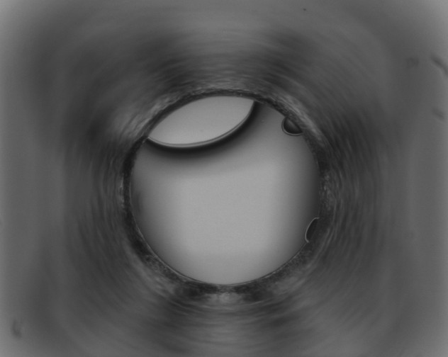 X0000093360212200710111314