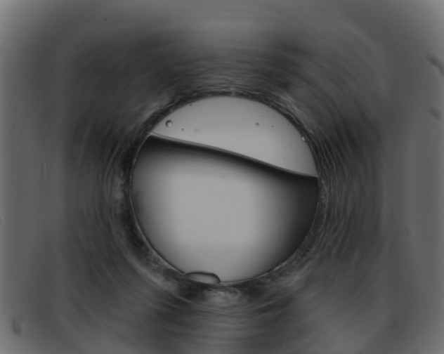 X0000093360215200710111314