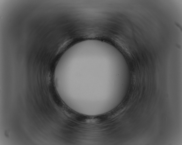 X0000093360216200710111314