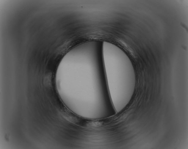 X0000093360217200710111314