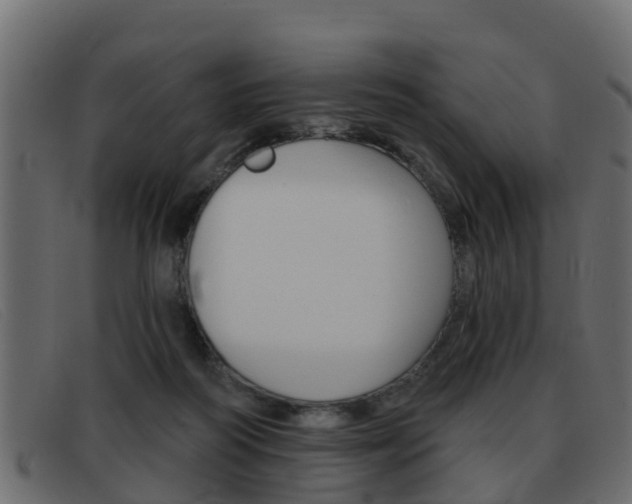 X0000093360218200710111314