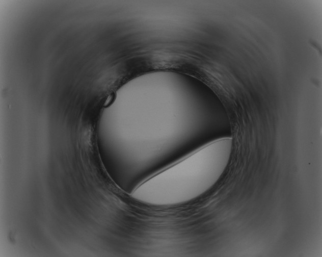 X0000093360219200710111314