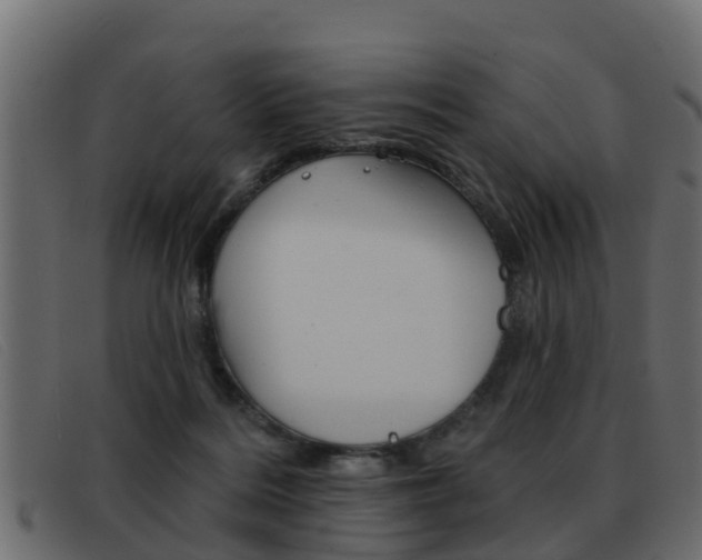 X0000093360220200710111314