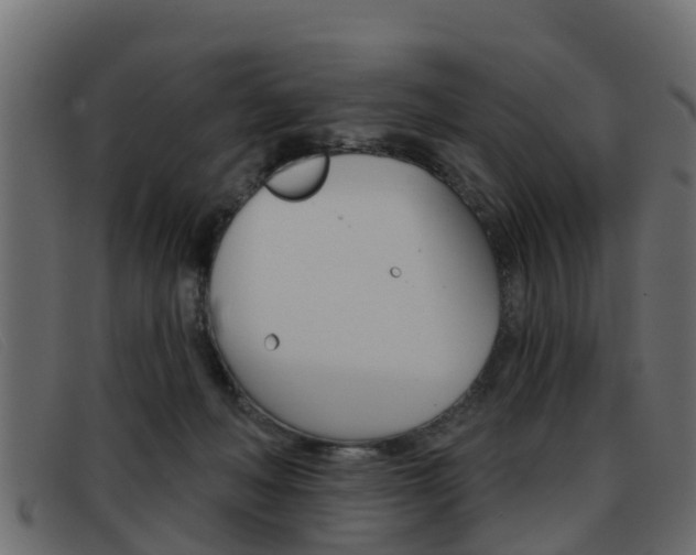 X0000093360222200710111314