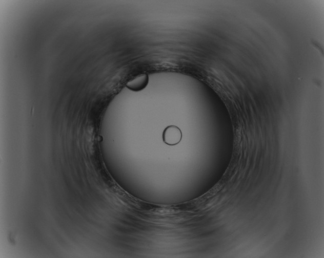X0000093360223200710111314