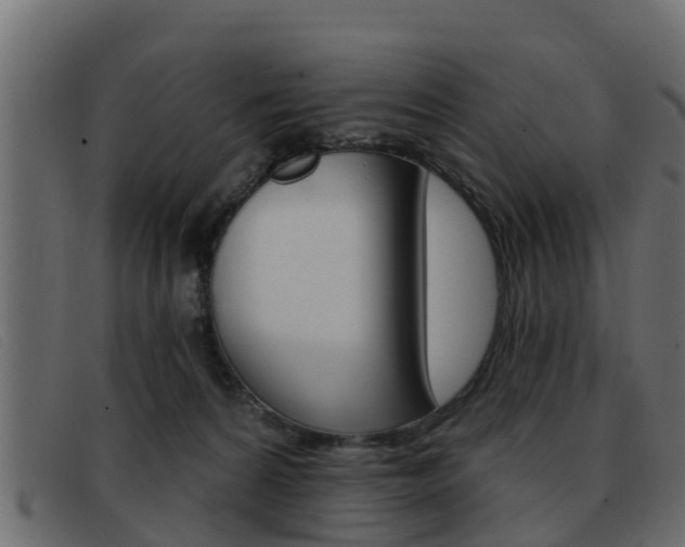 X0000093360224200710111314
