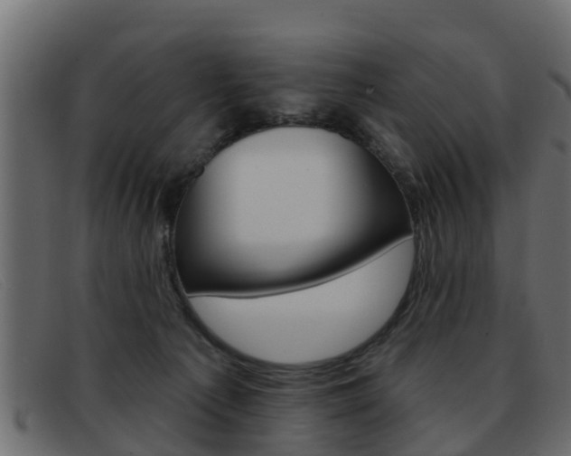 X0000093360225200710111314