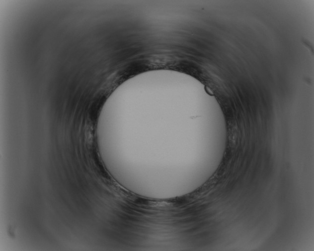 X0000093360226200710111314