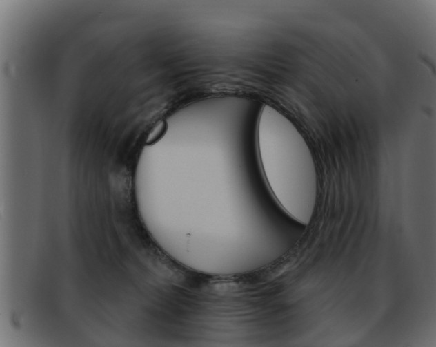 X0000093360228200710111314