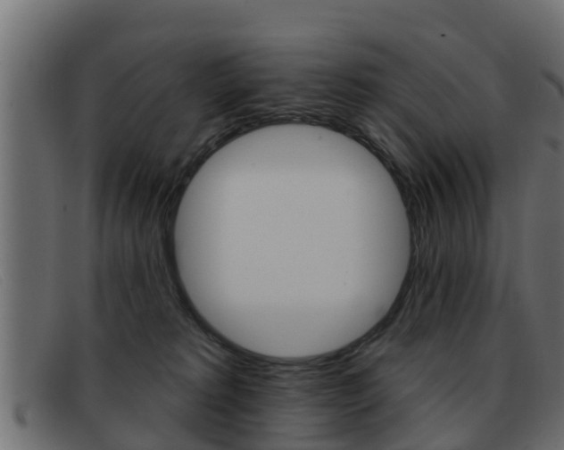X0000093360229200710111314