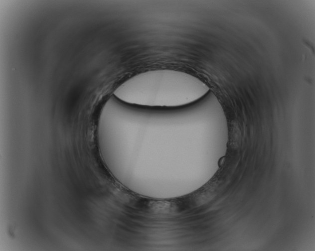 X0000093360230200710111314