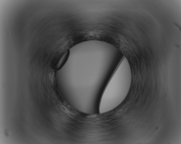 X0000093360231200710111314