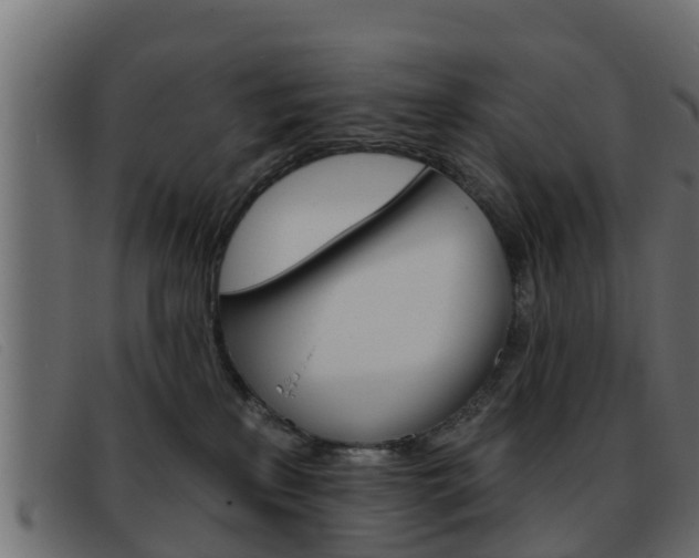 X0000093360233200710111314