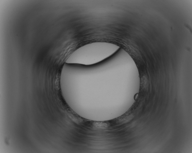 X0000093360234200710111314