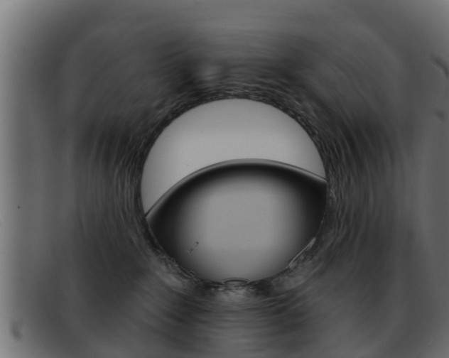 X0000093360235200710111314