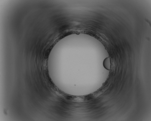 X0000093360236200710111314