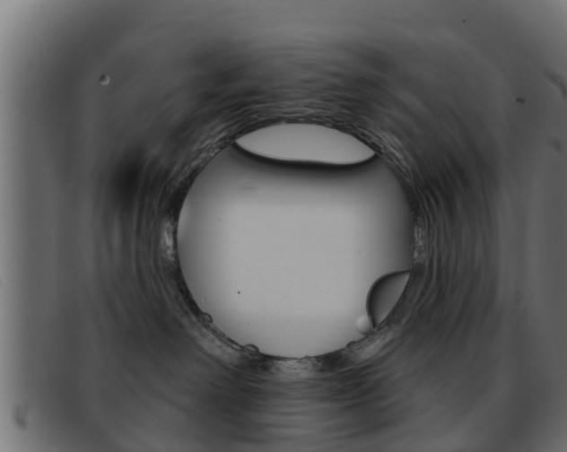 X0000093360238200710111314