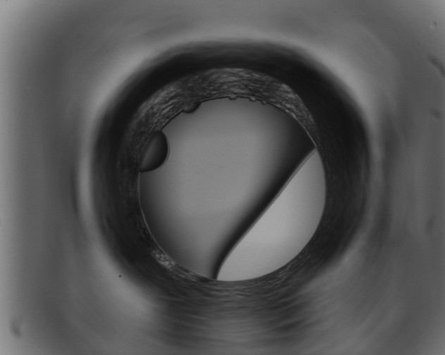 X0000093360239200710111314
