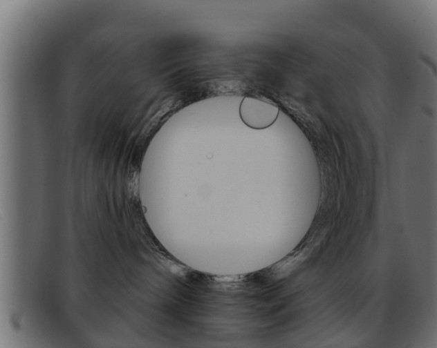 X0000093360240200710111314
