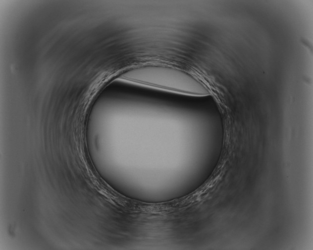 X0000093360241200710111313